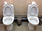 Toilets: Finest Design Theories