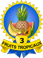 Fruits Tropicaux3 fruits
