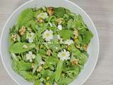 Alcaline : salade de jeunes pousses sauvages