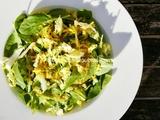 Équilibre acido-basique : salade alcalinisante express