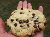 Cookies à l’okara