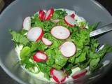 Sauce yaourt de saison aux radis (fanes compris)