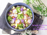 Salade de sarrasin au pesto de fanes de radis