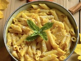 Sauce crémeuse au potimarron