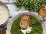 Velouté de petits pois à la chantilly de feta