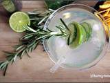 Bataille food 45 : gin infusé au concombre , citron vert et romarin
