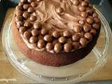 Foodista Challenge #49 : Gâteau au chocolat aux Maltesers