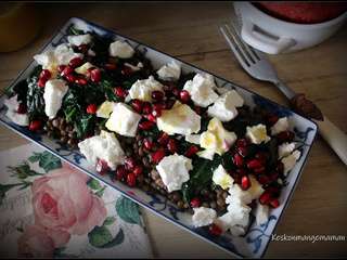 Foodista challenge , salade de lentilles, épinards feta et grenade