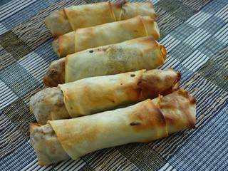 Nems au Tofu/Carottes/Coriandre