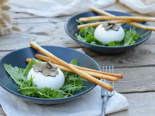 Burrata à la truffe d’été