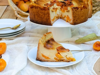 Flan aux abricots