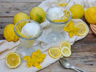 Sorbet au citron