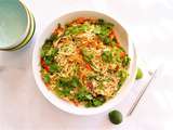 Salade de nouilles asiatiques aux sésames grillés avec poulet ou végétalienne