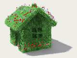 Pour une maison plus verte