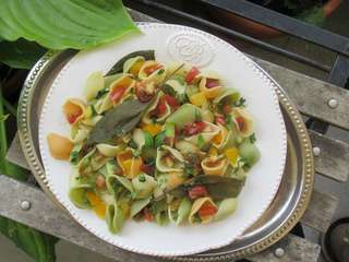 Conchiliglie à la sauge (et d'autres saveurs italiennes)
