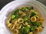 Orecchiette, taleggio et brocoli