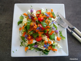 Salade d'été de toutes les couleurs et une astuce pour cultiver du basilic
