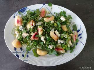 Salade de cresson aux pêches et fromage bleu de Lorraine Pascale