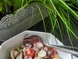 Salade de haricots borlotti et radis