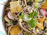 Salade printanière de nouilles soba aux graines germées, fèves et tofu sauté {Sans gluten}