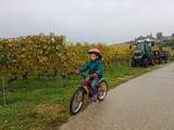 Apprentissage du vélo enfant {Parcours de 2 ans à presque 5 ans}