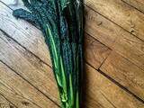 Pâtes et le dinosaure – Orecchiette au kale noir