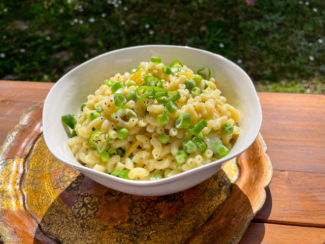 Gratin de coquillettes (végétarien, vegan) — France vegetalienne