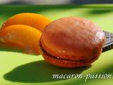 Macaron à la compotée d’abricot et chocolat noir