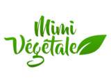 10 recettes les plus consultées du blog Mimi Végétale sur 2017