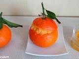 Sorbet  à la mandarine (Mandarin sorbet)