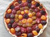 Tarte aux prunes multicolores (multicolored plum pie)