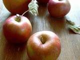 Fondant aux pommes et croustillant de noix à l'érable - Apple fondant with walnut-maple crumble