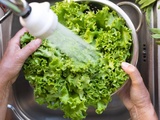 Ne laissez plus votre salade flétrir : 7 astuces de grand-mère pour la garder fraîche (très) longtemps