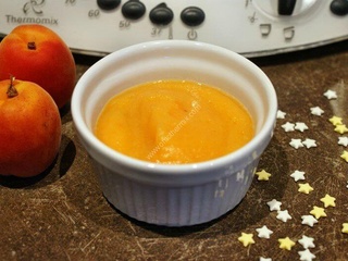 Du jour: Compote abricot, pomme, miel au thermomix de Vorwerk