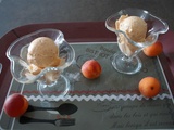 Du jour : Sorbet abricot