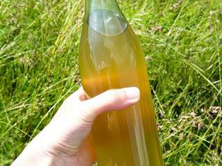 Sirop de fleur de sureau