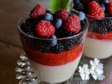 Crèmes dessert végétales à la vanille et aux fruits rouges