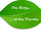 Ortie – Edition n°6 du Carnaval « Des Blogs Et Des Plantes »