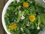 Salade de jeunes feuilles printanières et de fleurs du jardin