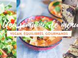 Semaine de menus vegan, équilibrés & gourmands (repas + snacks)