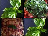 Lasagnes végétariennes aux légumes de l'été ,au basilic et à la ciboulette