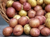 Quel est le temps de cuisson des pommes de terre à l’eau